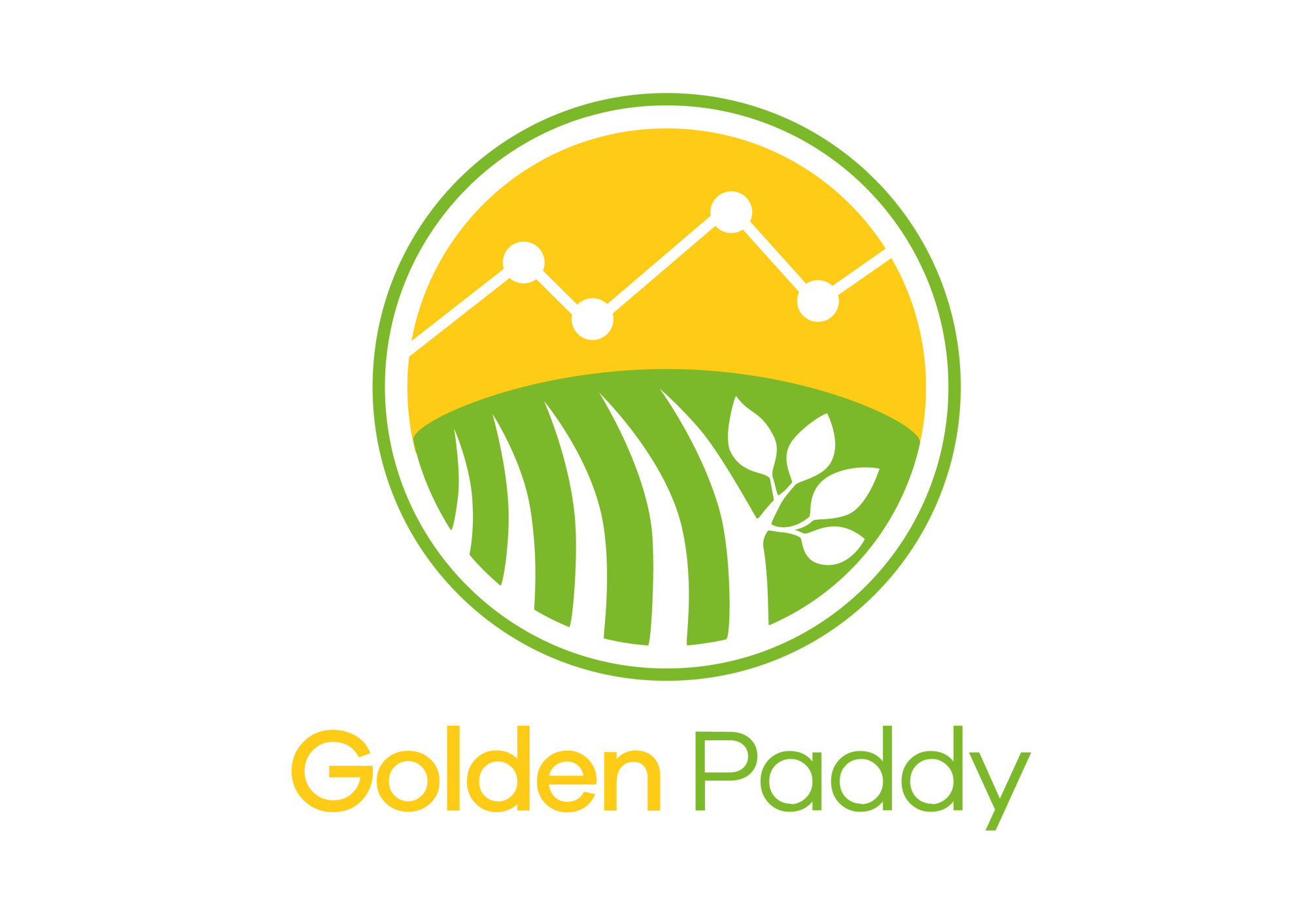 Golden Paddy